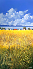 Un beau dimanche tranquille