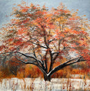 Le vieux pommier enneigé