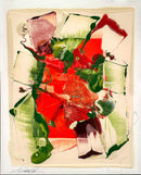 Ah les fraises et les framboises