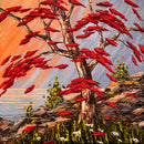 Accroché aux rochers