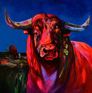 Nocturne au taureau rouge