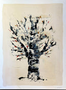 Série les 4 saisons