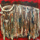 Bufle heureux  en territoire sauvage