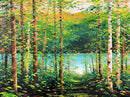 Le sentier du lac