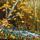 La rivière bleue