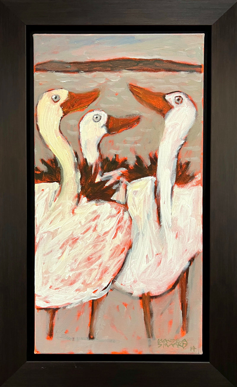 Oies blanches à la brunante, 2014