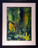 Forest Stream, BC, circa 1961