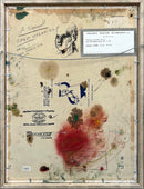 Forest Stream, BC, circa 1961