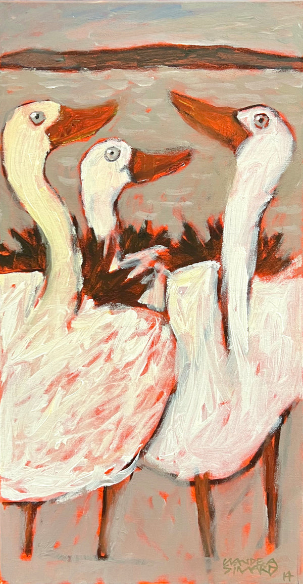 Oies blanches à la brunante, 2014