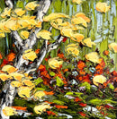 Couleurs d’automne